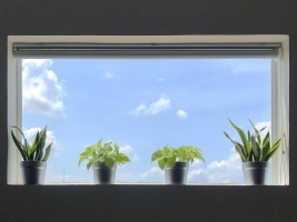 Green Office – Xu Hướng Tất Yếu Trong Kỷ Nguyên Phát Triển Bền Vững
